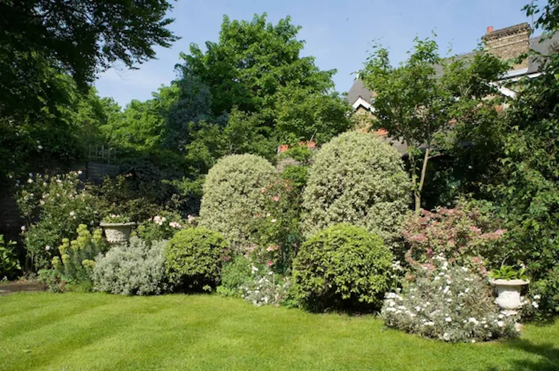 Garden at Colourful Camberwell house, B598 (photo 23)