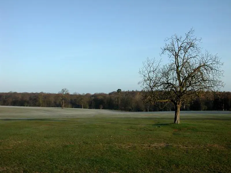 Grand Knebworth estate, G68 (photo 24)