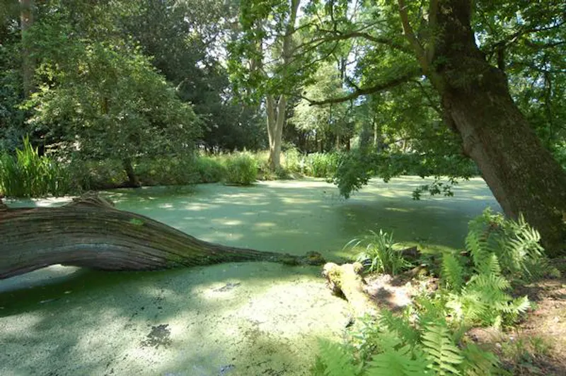 Grand Knebworth estate, G68 (photo 25)