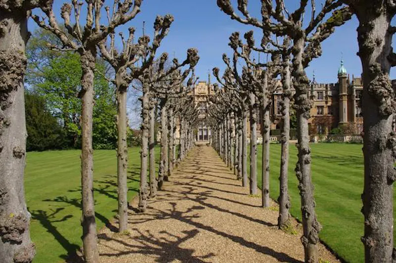 Grand Knebworth estate, G68 (photo 33)