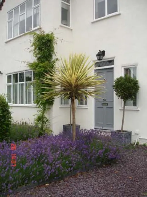 Barnes family house, D1879