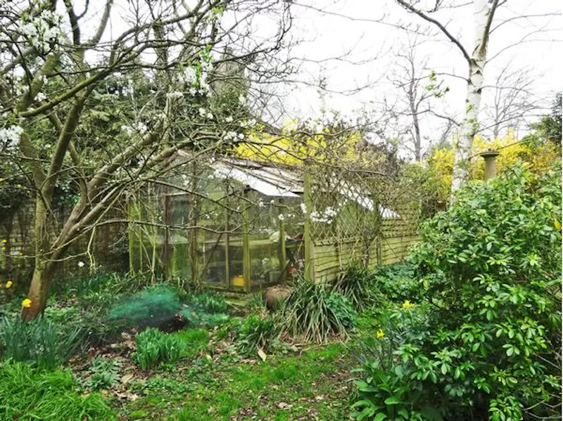 Greenhouse at Arts and Crafts Tooting house, D447 (photo 39)