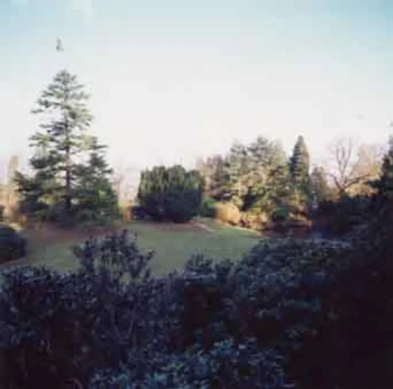 Garden at Film location B789 in Surrey (photo 6)
