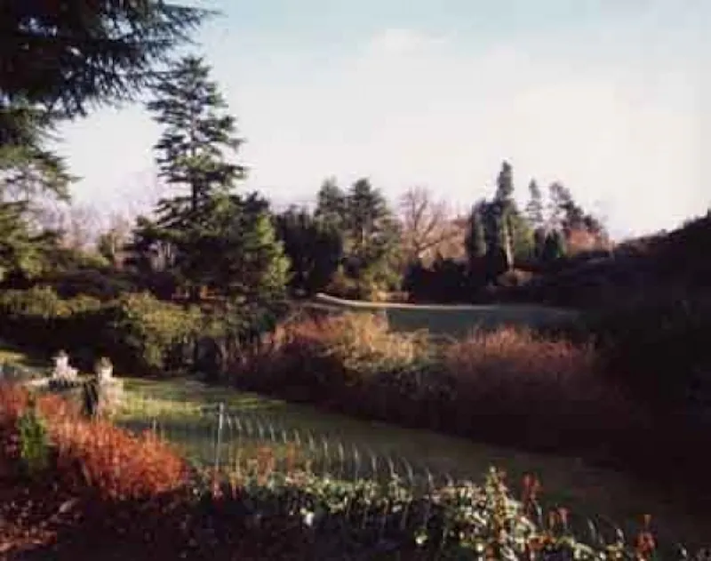 Countryside at Film location B789 in Surrey (photo 7)