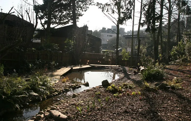 Hidden Highgate pool house, D1969 (photo 39)
