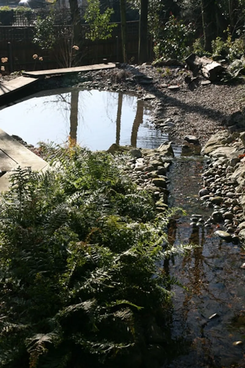 Hidden Highgate pool house, D1969 (photo 40)