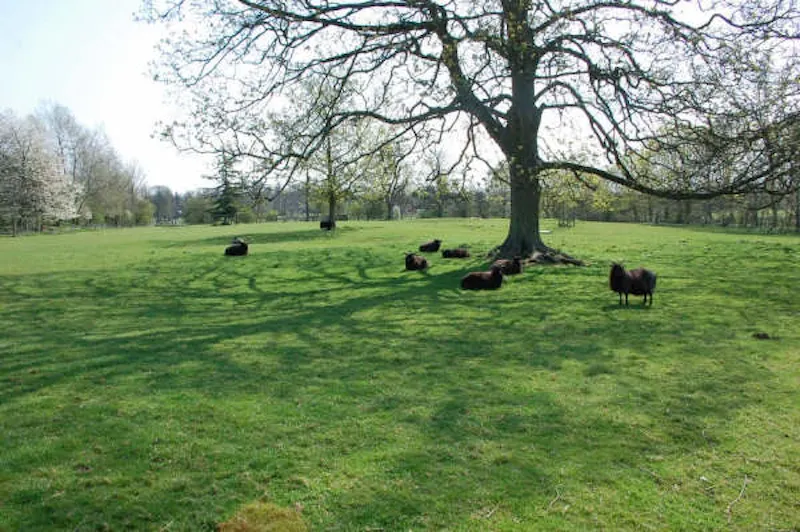 Countryside at Film location L202 in Hertfordshire (photo 54)