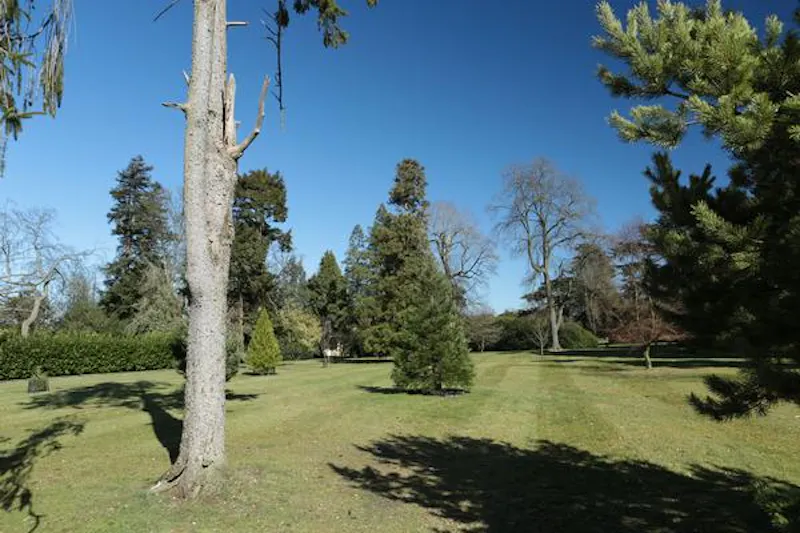 Elegant manor near Elstree, A49 (photo 47)