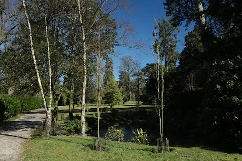 Elegant manor near Elstree, A49 (photo 48)