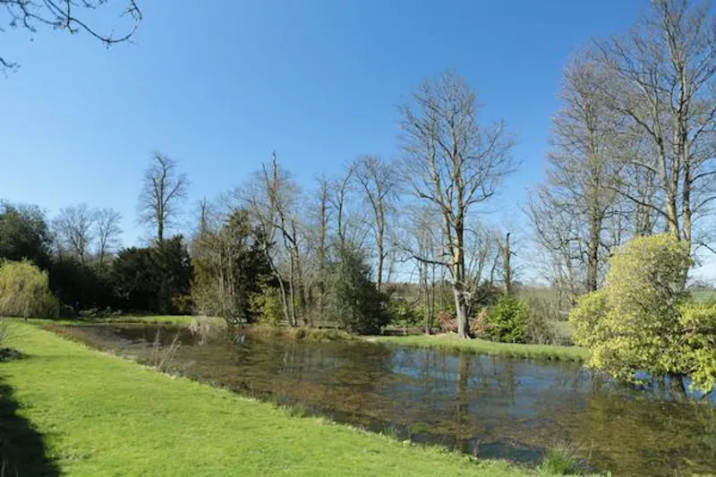 Pond at Elegant manor near Elstree, A49 (photo 49)