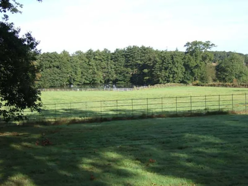Elegant manor near Elstree, A49 (photo 51)