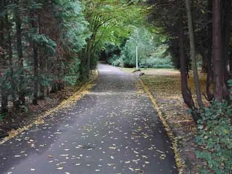 Driveway at 1980's Hatfield house, A1011 (photo 19)