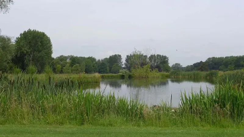 Lake at Classic Georgian Thame Rectory, A1026 (photo 50)