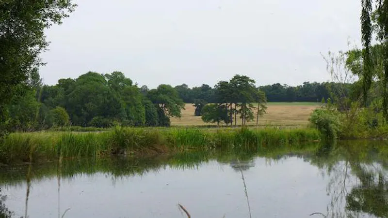 Lake at Classic Georgian Thame Rectory, A1026 (photo 59)