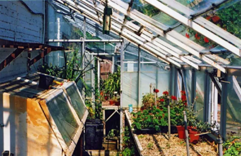 Greenhouse at Classic Georgian Thame Rectory, A1026 (photo 68)