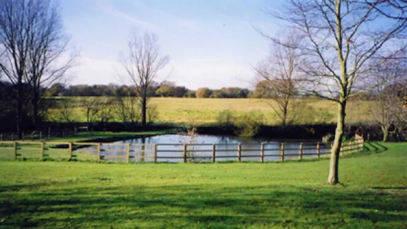 Garden at Georgian Colchester mansion, A1031 (photo 19)