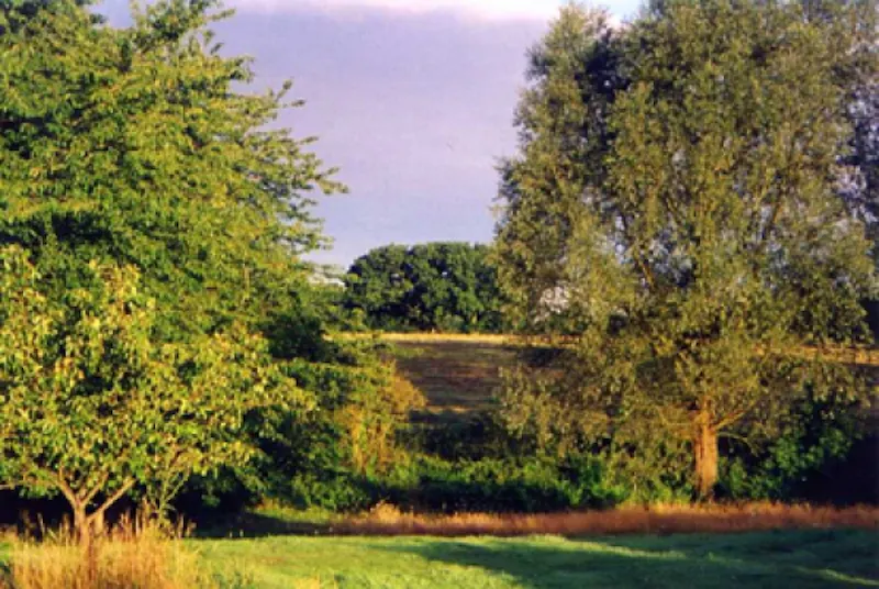 Countryside at Georgian Colchester mansion, A1031 (photo 22)