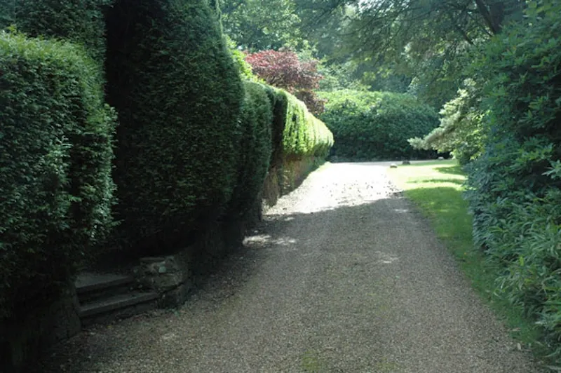 Driveway at Film location D1964 in Surrey (photo 24)