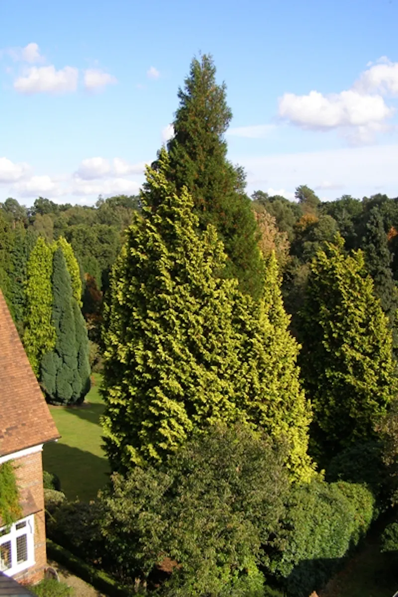 Ascot school and grounds, B1219 (photo 21)