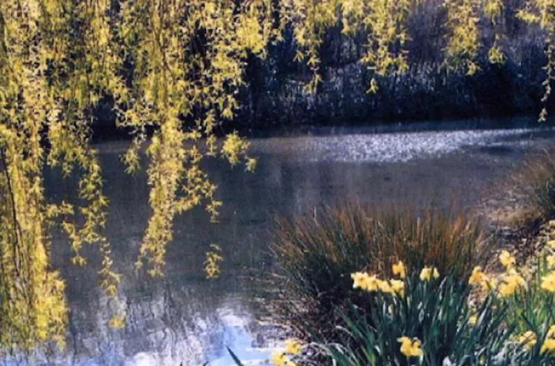 Lake at Ascot school and grounds, B1219 (photo 25)