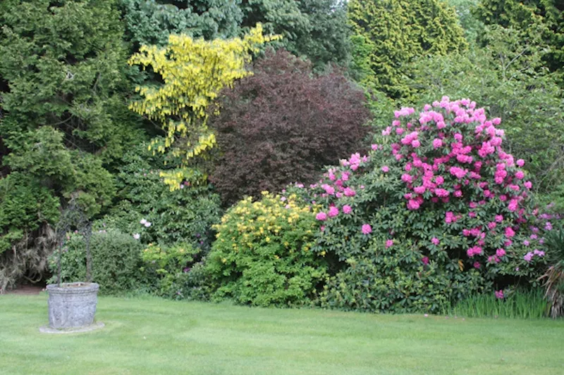 Ascot school and grounds, B1219 (photo 29)