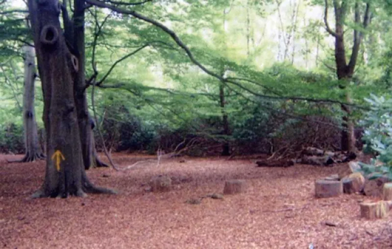 Countryside at Ascot school and grounds, B1219 (photo 30)