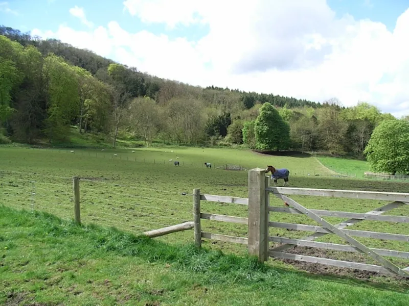 Countryside at Film location L604 in West Sussex (photo 10)