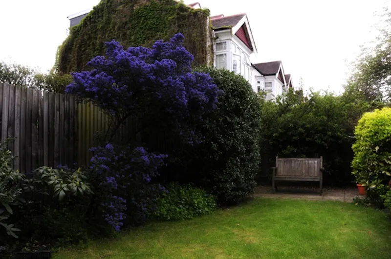 Garden at Barnes home with warm interiors, B1485 (photo 31)