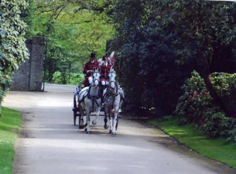 Driveway at Period Hall of Chiddingfold, M249 (photo 16)