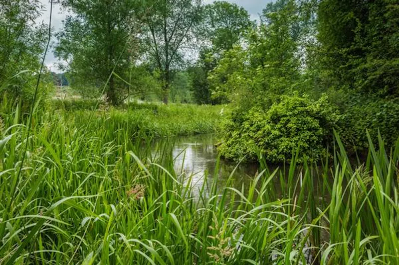 Garden at Chandler's Cross country estate, A480 (photo 60)