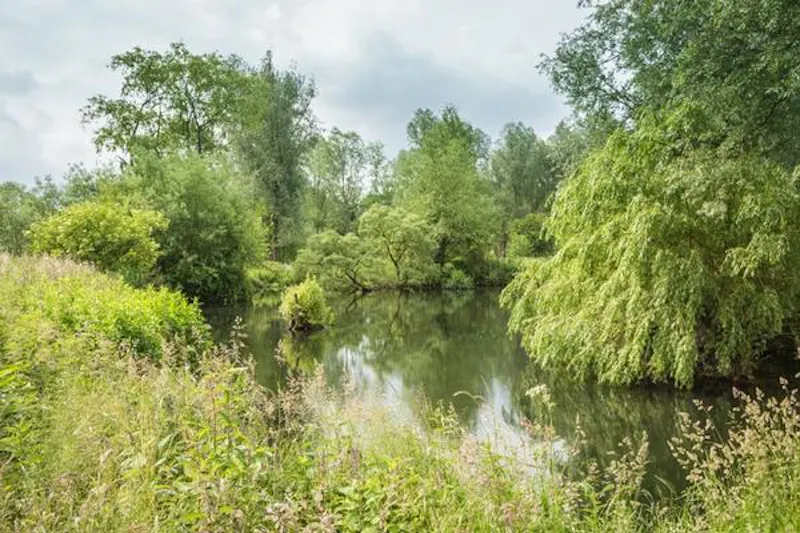 Garden - wild at Chandler's Cross country estate, A480 (photo 61)