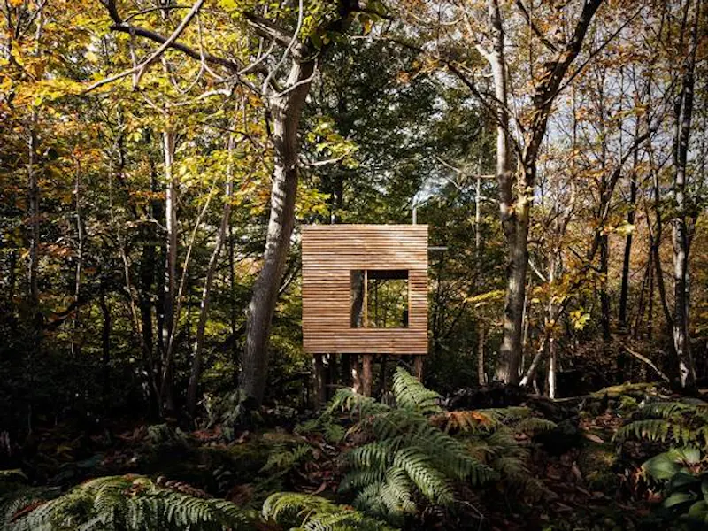 Summer house at 60s cabin with treehouse sauna, D1965 (photo 18)