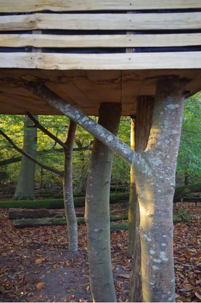 60s cabin with treehouse sauna, D1965 (photo 23)