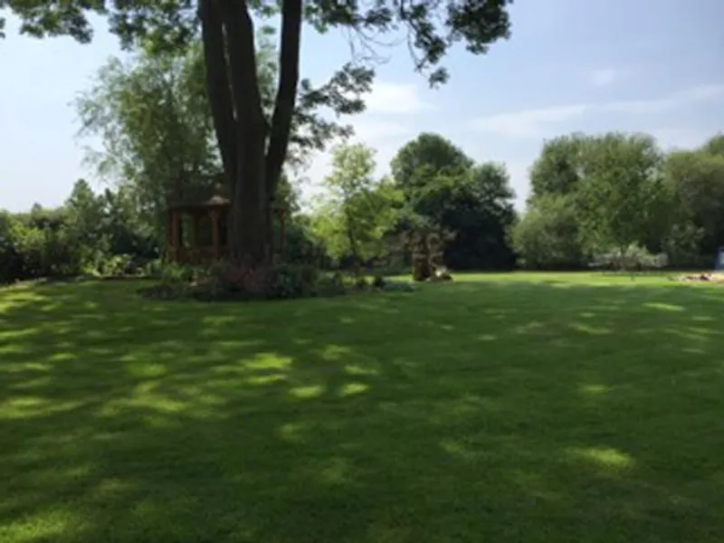 Garden at Film location D1813 in Middlesex (photo 26)