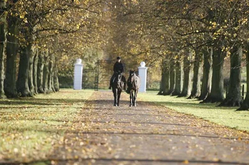 Driveway at Palladian stately in Winchester, A151 (photo 43)