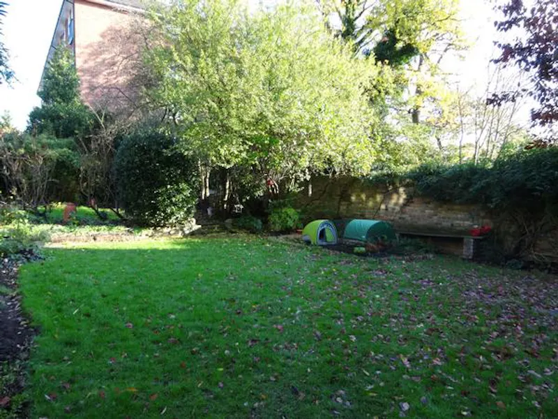 Garden at Homely Ealing vicarage, B868 (photo 43)