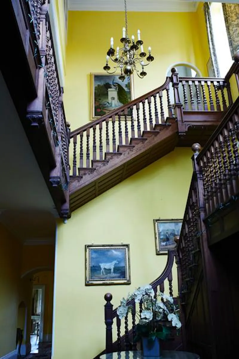 Staircase at Grand manor house in Benington, A146 (photo 22)