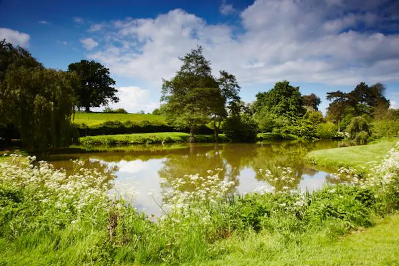 Lake at Grand manor house in Benington, A146 (photo 64)