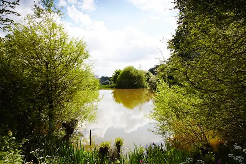 Pond at Grand manor house in Benington, A146 (photo 69)