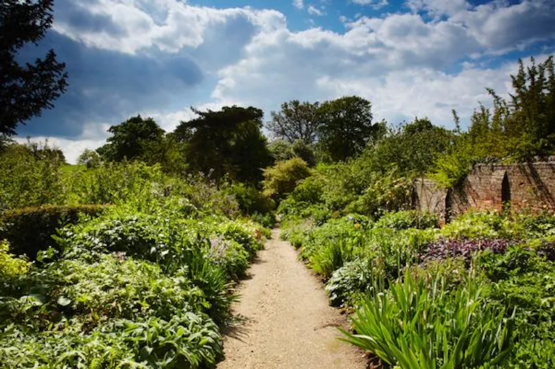 Garden - wild at Grand manor house in Benington, A146 (photo 78)