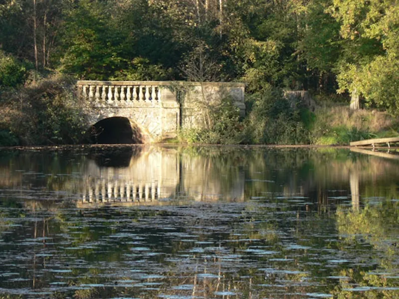 Lake at Film location J206 in East Sussex (photo 18)