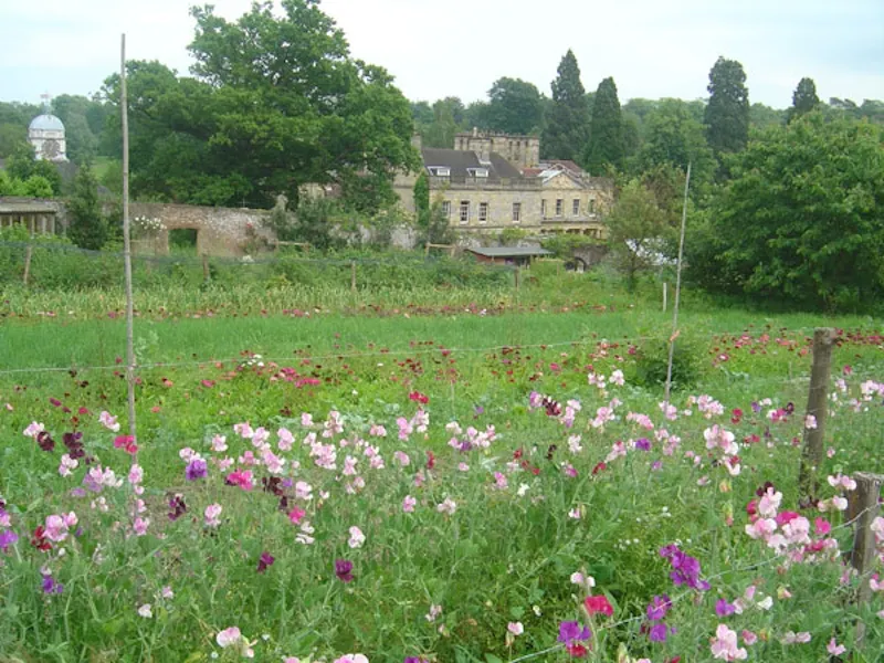 Film location J206 in East Sussex (photo 19)
