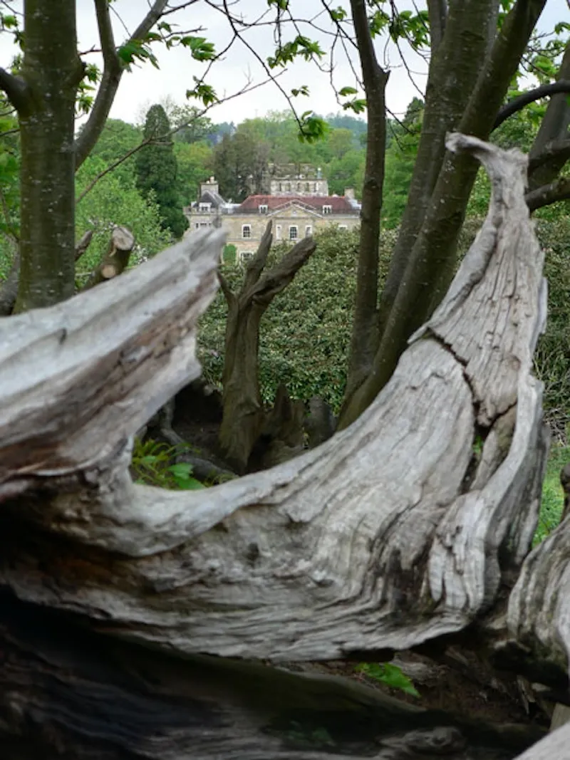 Film location J206 in East Sussex (photo 20)