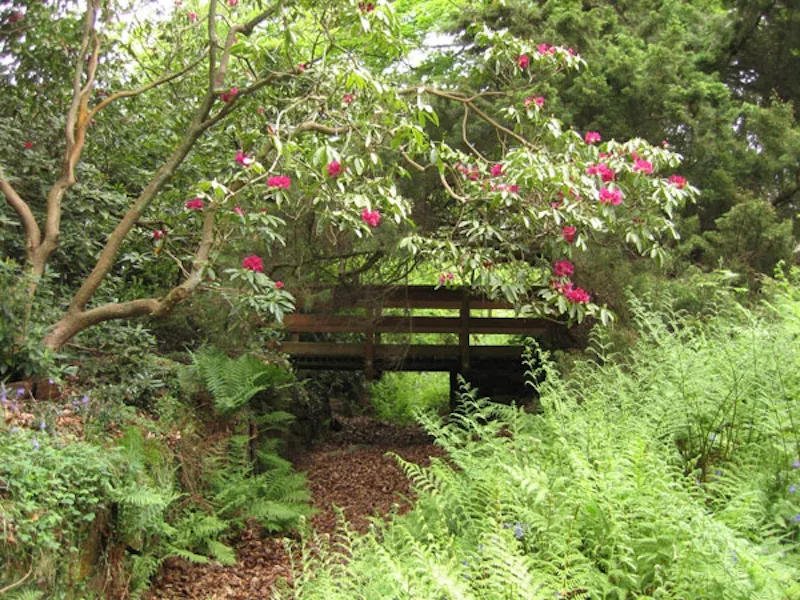 Film location J206 in East Sussex (photo 21)
