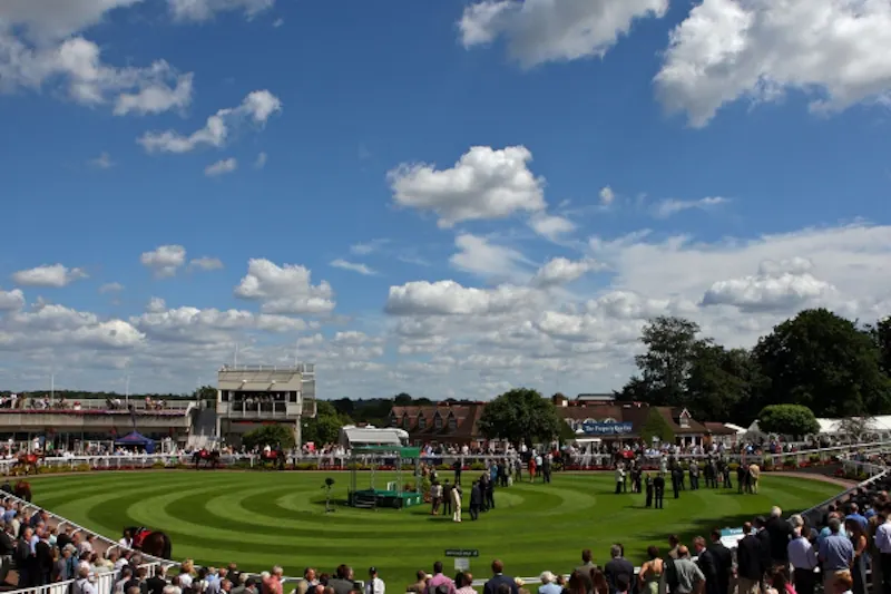 Picturesque Racecourse and venue, T125 (photo 2)