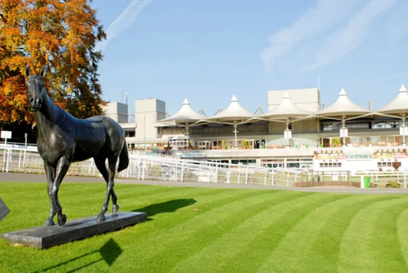 Picturesque Racecourse and venue, T125 (photo 6)