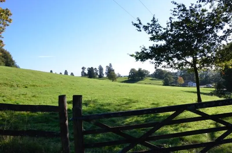 Secluded Loxhill farmhouse, L436 (photo 24)