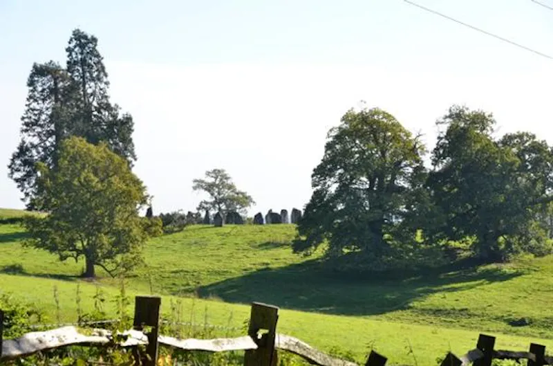 Secluded Loxhill farmhouse, L436 (photo 25)
