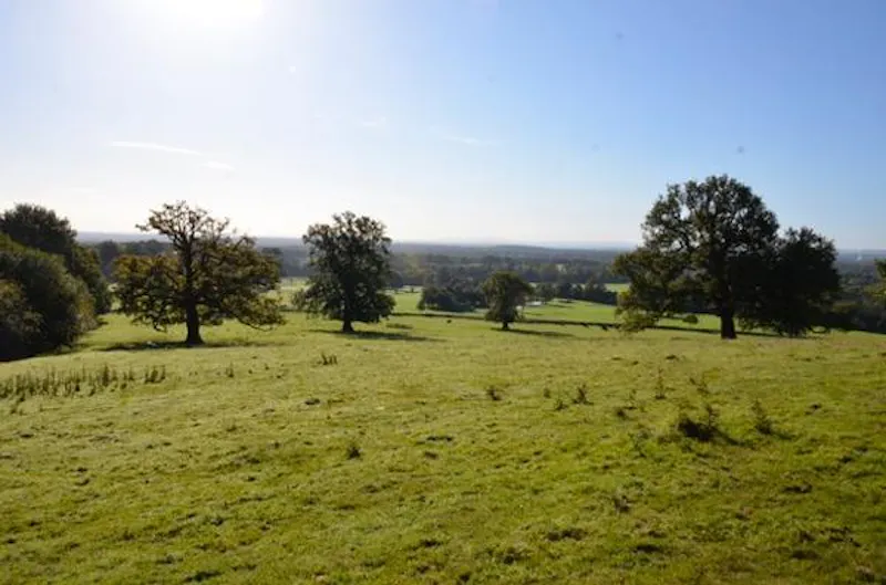 Views - country at Secluded Loxhill farmhouse, L436 (photo 26)