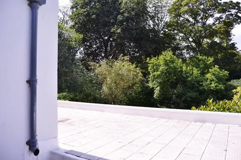Hatfield Modernist house, D1382 (photo 32)